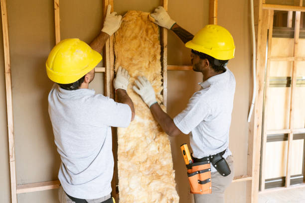 Best Professional Insulation Contractor  in Helena Valley Southeast, MT